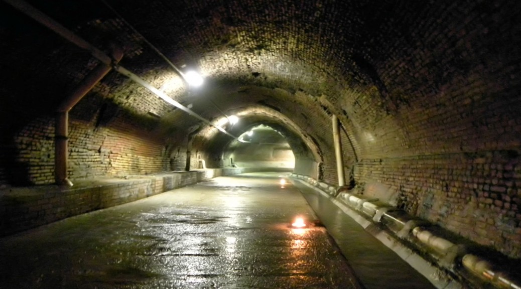 Tour sotterraneo a Bologna
